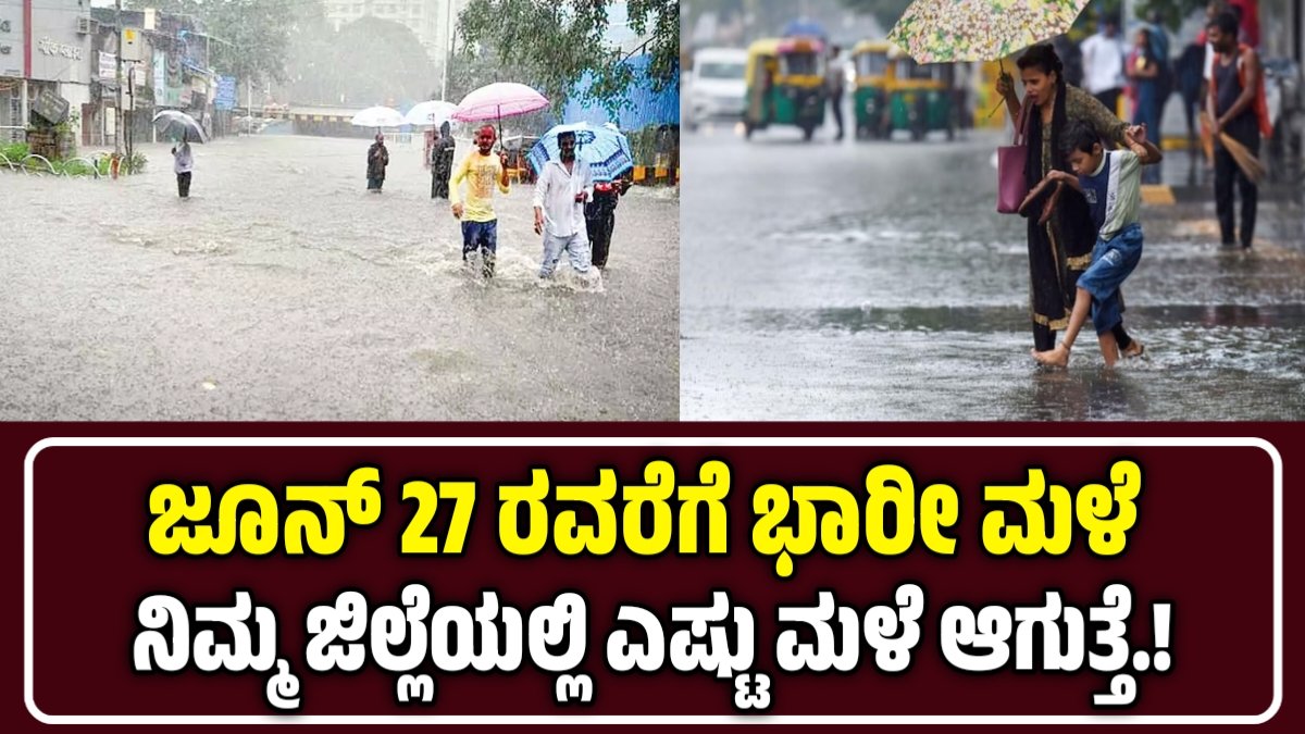 IMD weather Report